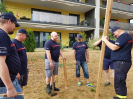 Bäumlistellen bei Roger Häfliger_15