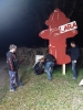 Bäumlistellen bei Hüsler Stefan_4
