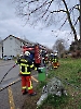 EFK neue AdF 2024