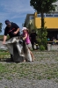 Ferienpass 2015_4