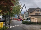 Offizierskurs Oktober 2020_6