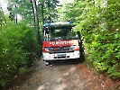 Waldbrand Alberswil_1