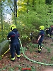 Waldbrand Alberswil_3