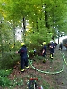 Waldbrand Alberswil_4