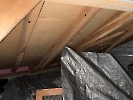 Elementar Ettiswil_14