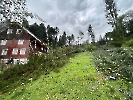 Elementar Ettiswil_16