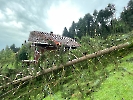 Elementar Ettiswil_28