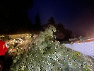 Elementar Ettiswil_29