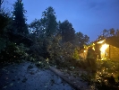 Elementar Ettiswil_30