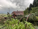 Elementar Ettiswil_40