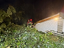 Elementar Ettiswil_5