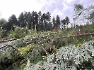 Elementar Ettiswil_8