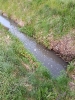 Jauche in Dorfbach_2