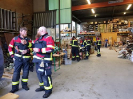 Brand Sägerei_11