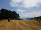 Brand Wald und Flur_10