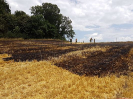 Brand Wald und Flur_12