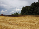 Brand Wald und Flur_13