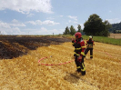 Brand Wald und Flur_17
