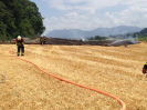 Brand Wald und Flur_1