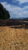 Brand Wald und Flur_1