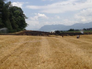 Brand Wald und Flur_6
