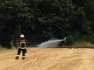 Brand Wald und Flur_9