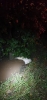 Hochwasser Ettiswil 08.07.2021_3