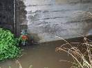 Hochwasser Ettiswil 08.07.2021_7