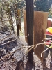 Brand Wald und Flur_14