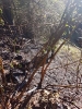 Brand Wald und Flur_15