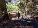 Brand Wald und Flur_16