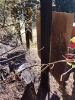 Brand Wald und Flur_2