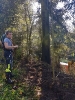 Brand Wald und Flur_6