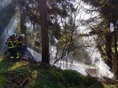 Brand Wald und Flur_7