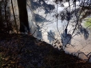 Brand Wald und Flur_8