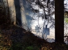 Brand Wald und Flur_9