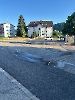 10.07.2025_Oelspur