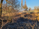 Schwelbrand Alberswil_1