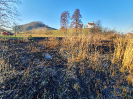 Schwelbrand Alberswil_4