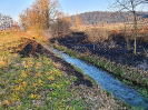 Schwelbrand Alberswil_5