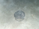 BMA Sprinkler Sigristenhaus_1
