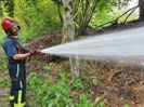 Flurbrand Ettiswil_5