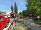 Flurbrand Ettiswil_6
