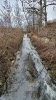 Ölsperre Bach_4