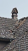 Elementar Alberswil_2