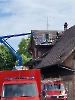 Elementar Alberswil_8