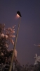 Strassenlampe Kottwil_3
