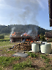 Brand Schopf_4
