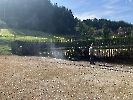 Heckenbrand Ettiswil_1