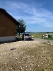 Heckenbrand Ettiswil_4